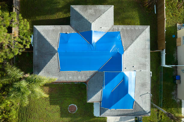 Best Roof Maintenance and Cleaning  in Parker, TX